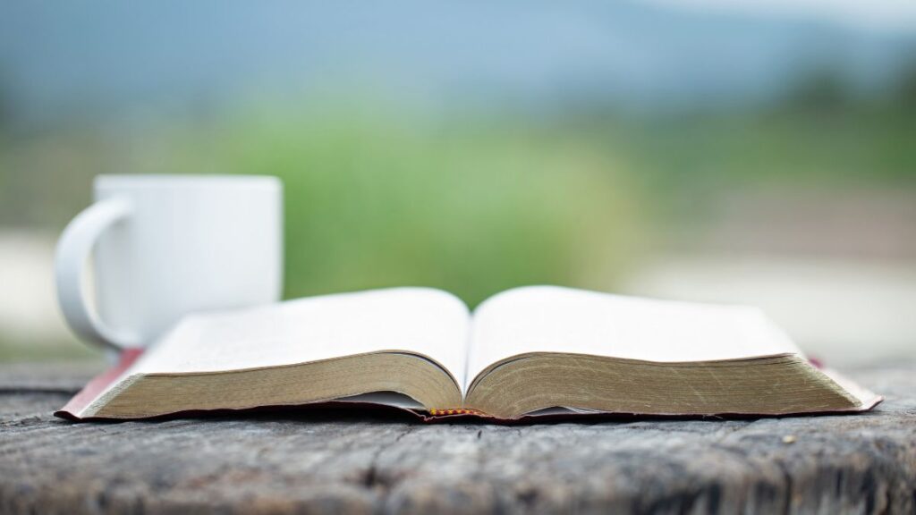 versículos bíblicos